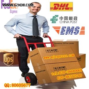 广州DHL-指定代理商-广州文捷国际快递公司